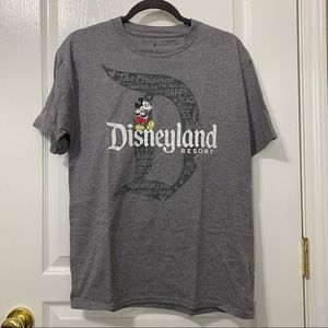 Graphic Grey Disneyland Tee